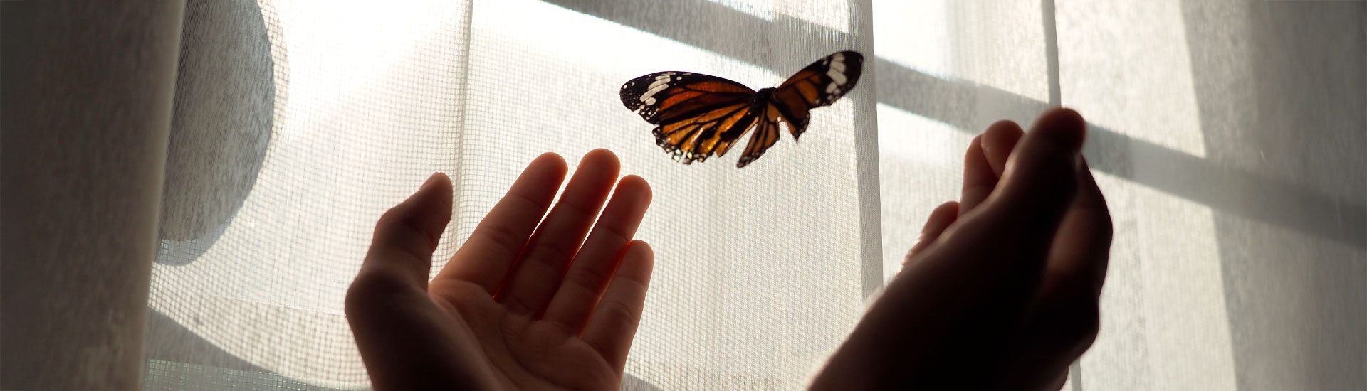 Témoignages : « Ce que m’a apporté ma séance avec un médium »