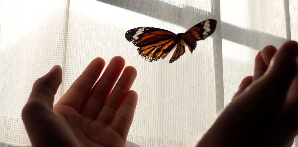 Témoignages : « Ce que m’a apporté ma séance avec un médium »